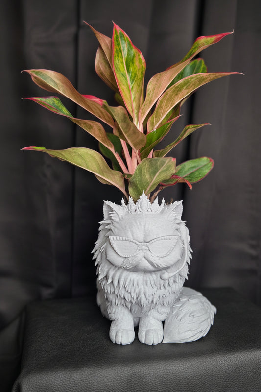 Donut Large Planter! (Planting Pot NOT INCLUDED)